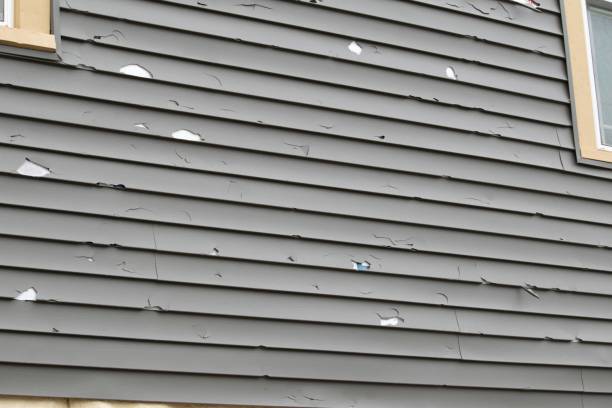 How To Choose The Right Materials for Your Siding Installation in 'Timpson, TX